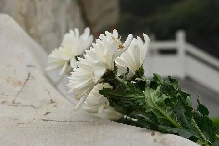 武昌区白事乐队什么价钱